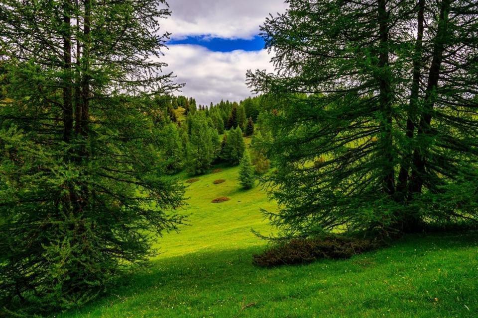 Eco-Hotel Et Yourtes Du Mercantour Guillaumes Kültér fotó